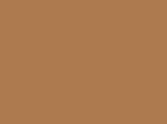 kolor RAL 1011 - Beżowobrązowy